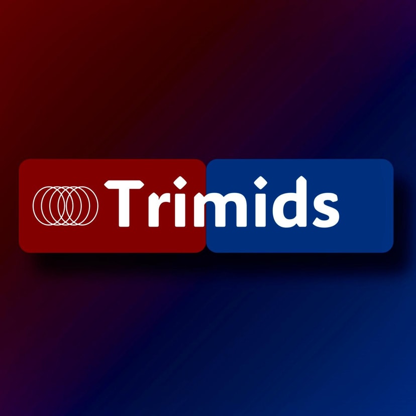 TRIMIDS Team Culture